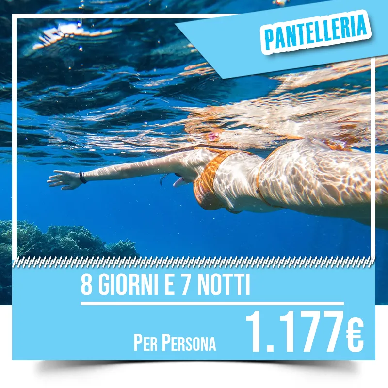Noleggio Auto, Pullman, Transfert