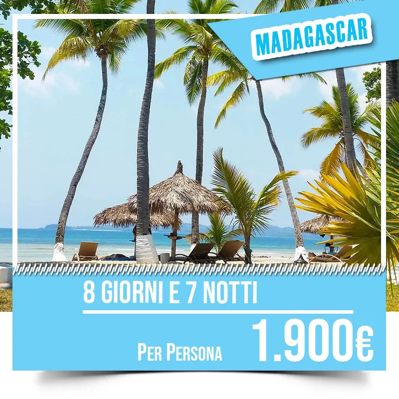 Noleggio Auto, Pullman, Transfert