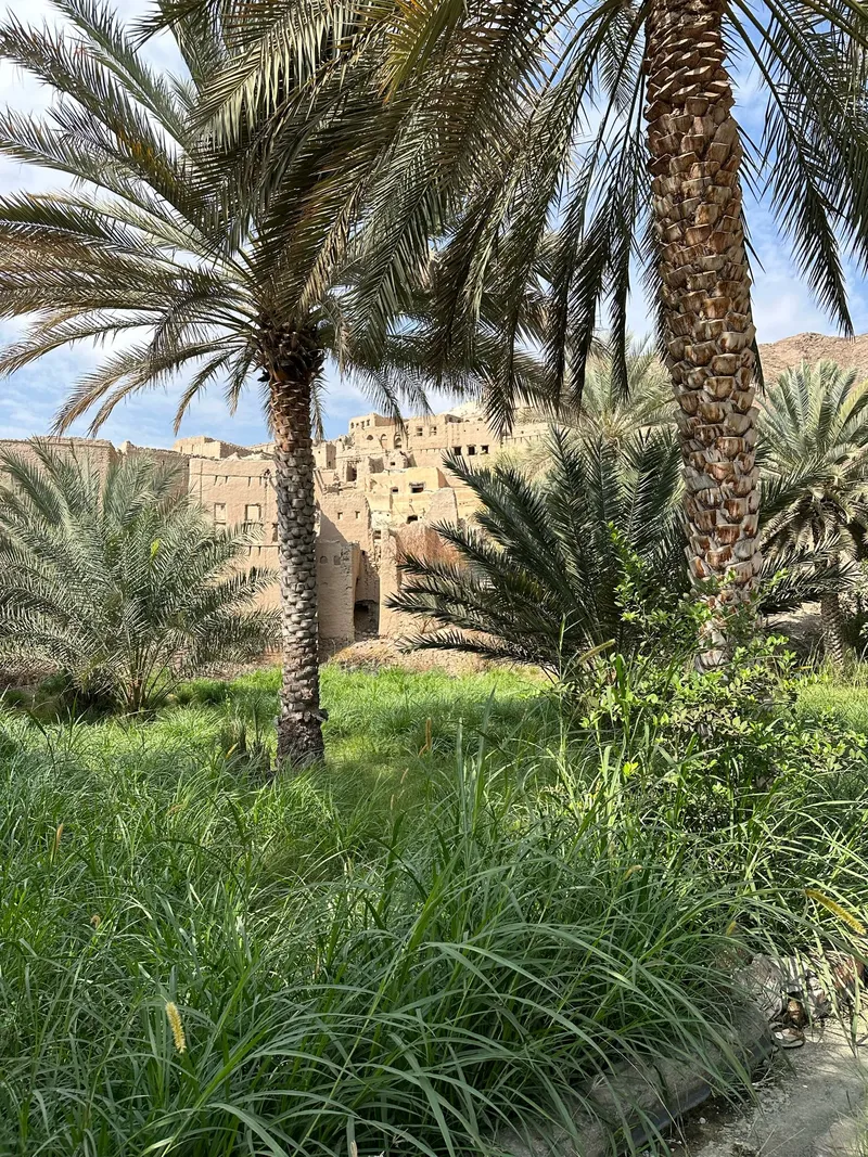 Dal 30 Gennaio al 08 Febbraio - 10 giorni / 8 notti Prezzo 3.550 €*