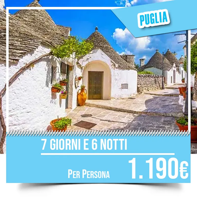 Noleggio Auto, Pullman, Transfert